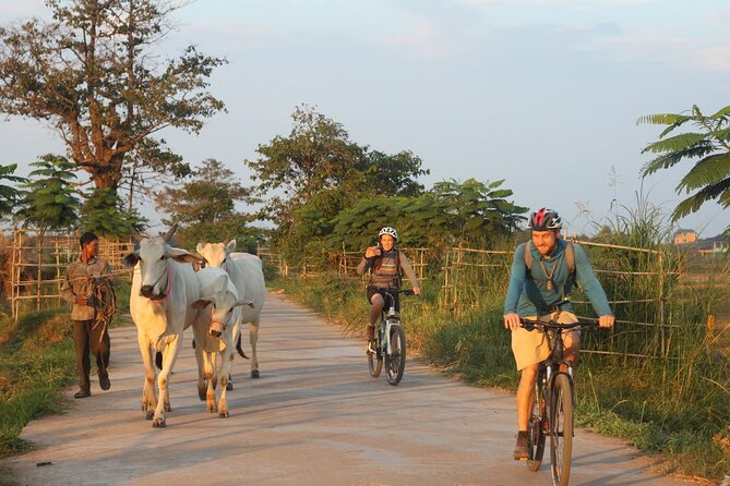 Silk Island at Twilight Cycle Encounter - Key moments you will care about
