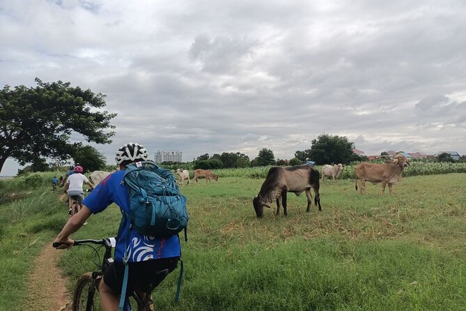 Silk Island at Twilight Cycle Encounter - From Areyksat Ferry Dock to the Riverside Cycling Track