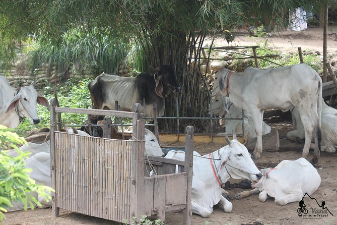Silk Island & countryside of Phnom Penh by Tuk Tuk - Silk weaving workshops: what you learn beyond the finished product