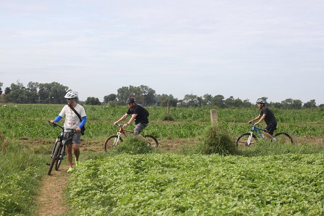 Silk Island Cycling Adventure & lunch with locals - Koh Dach cycling: rice paddies, village roads, and silk makers at work