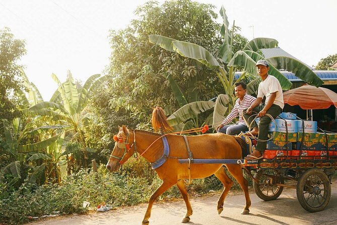 Silk Island Private Half-Day Tour from Phnom Penh - First impressions on Silk Island: homes, farms, and a real village pace