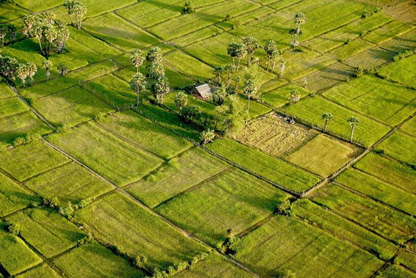 Sky Venture Microlight Siem Reap - Pickup in Krong Siem Reap and What 30 Minutes Really Covers