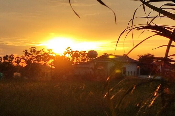 Small Group Countryside Bike Tours, Sunset & Picnic - Street-food tasting and desserts, with real-world guidance