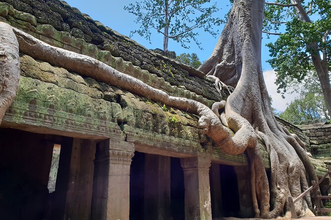 Special Three Days Angkor Tour - Getting ready: walking, timing, and staying comfortable