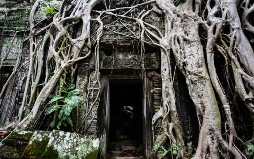 Sunrise at Angkor Wat and Small Tour with Tours Guide - South Gate and Bayon: 54 towers, 216 faces, and what to notice