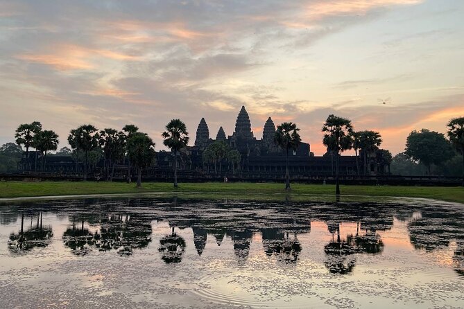 Sunrise Tour of Angkor Temples from Siem Reap - Ta Prohm: where the stone feels alive, and the pace stays human
