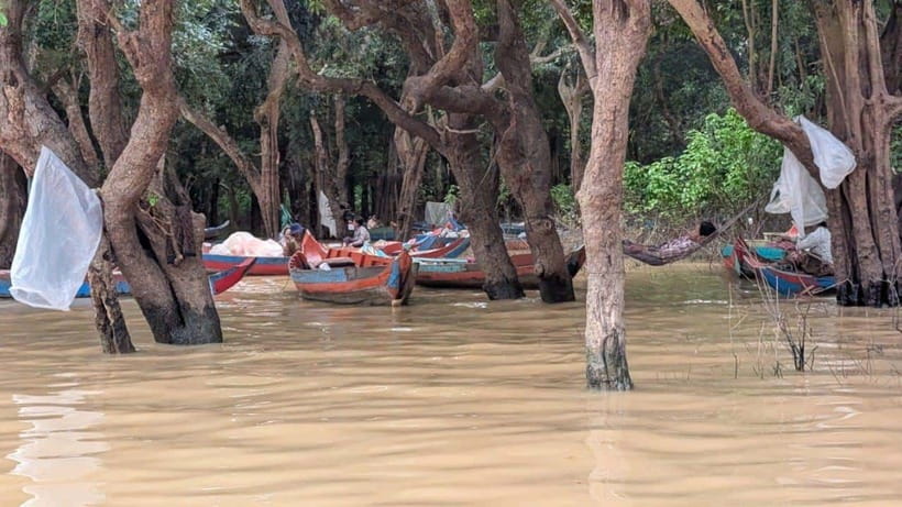 Sunset Kompong Pluk Floating Village - Who should book this tour, and who might skip it