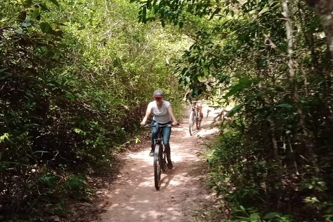 Sunset or sunrise bicycle tour around Angkor Wat and nearby temples - Ta Prohm: the jungle-coiled temple you actually slow down for