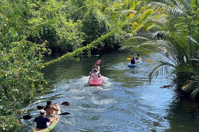 Sunset Scenic Kayaking and Swimming Activity - Quick Hits Before You Go