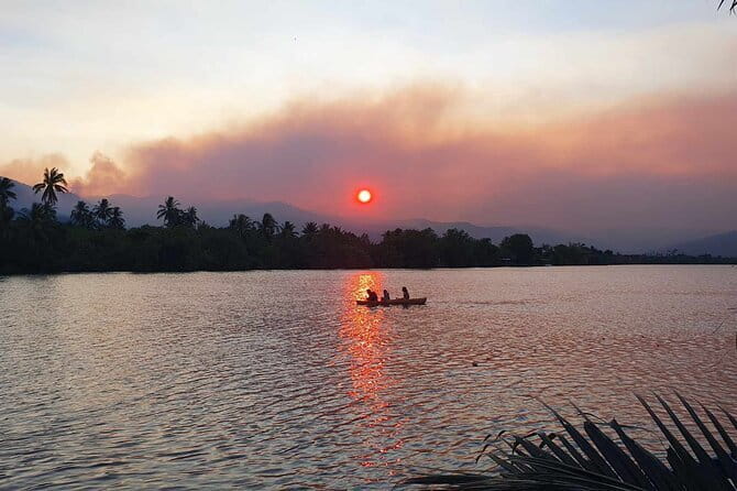 Sunset Scenic Kayaking and Swimming Activity - Where the Green Cathedral Comes From (And Why It’s More Than a Phrase)