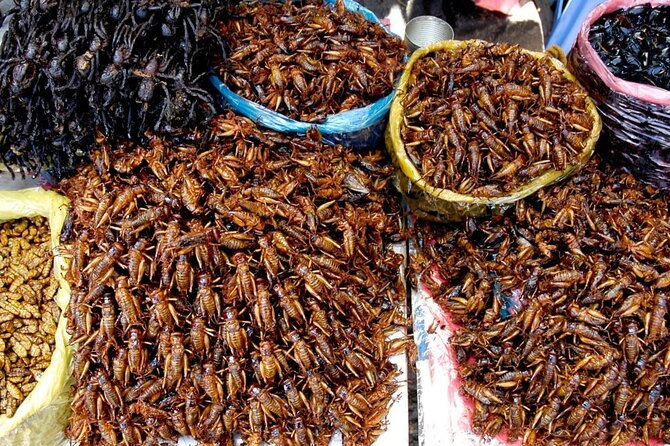 The Journey Phnom Penh to/from Siem Reap: A Memorable Tour - Stop 1 in Skun, the spider and insect food market experience