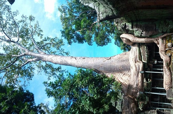 The Magnificent Angkor Wat - Who this private Angkor Wat tour suits best