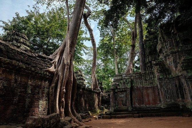 The Ultimate Angkor Wat Temple Private Day Trip - Transport, energy levels, and what to plan for