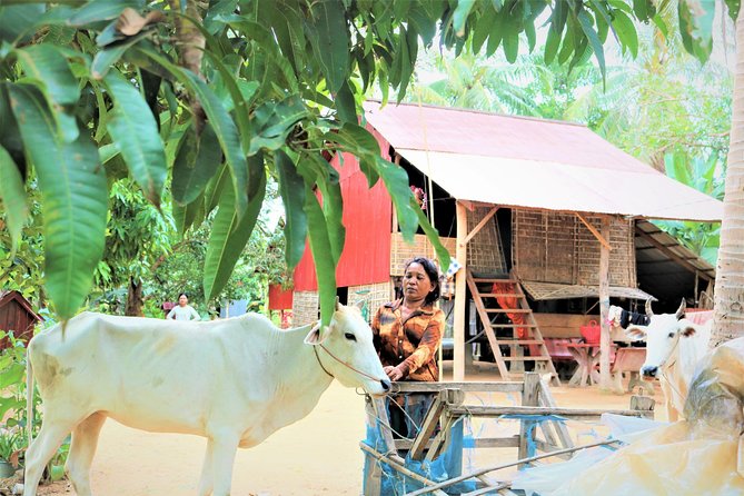 Tonle Sap Lake - Fishing Village & Flooded Forest - Kampong Phluk and the flooded forest ecology you can feel