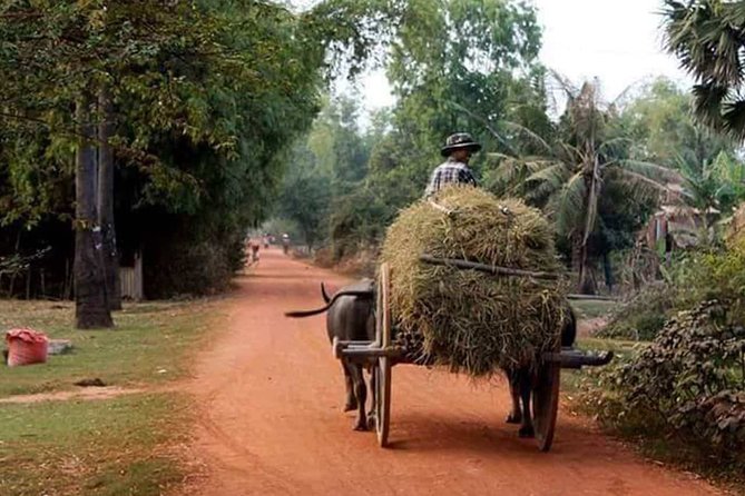 Tuk Tuk Journey: Exploring Rural Life and Silk Farm Craftsmanship - Quick Highlights