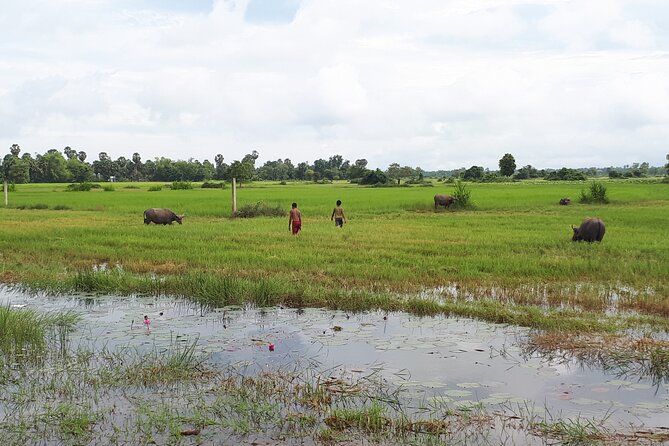 Tuk Tuk Journey: Exploring Rural Life and Silk Farm Craftsmanship - My Booking Advice: Should You Choose This Tour?