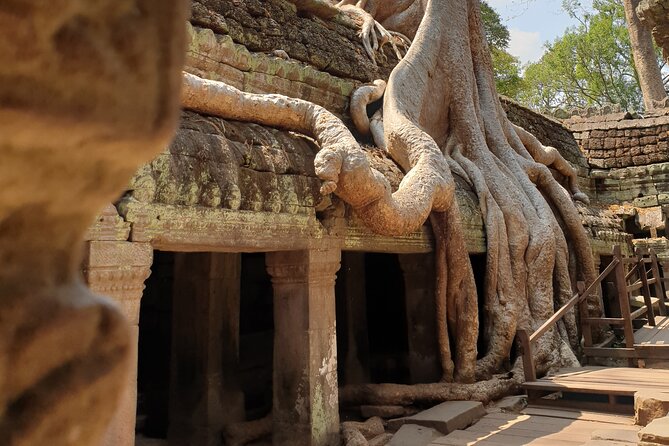 Two Days Angkor Tour - Who This Tour Fits Best
