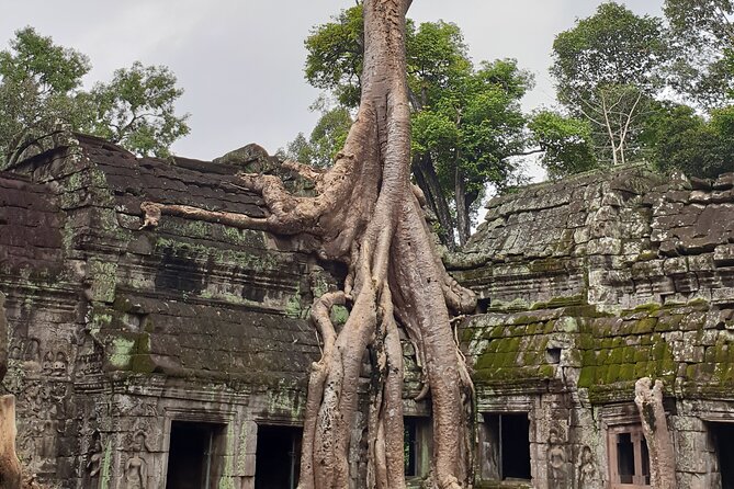 Two Days Angkor Tour - Should You Book This Two Days Angkor Tour?