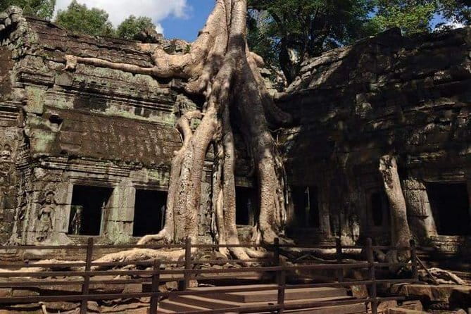 Ultimate Siem Reap Food Tour by Tuk Tuk - 20 Tastings, 8 Stops - Street-food hygiene and spice comfort: how to eat smart without killing the fun