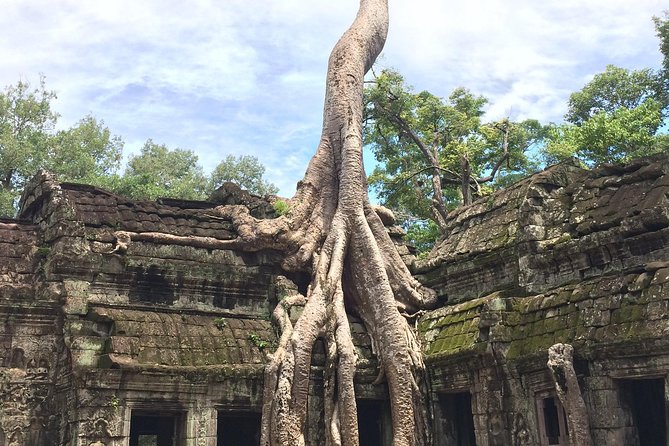 Unveiling 2 Days Private Angkor Wat/Beyond In Sunrise/Sunset Tour - Banteay Srei, the pink sandstone carvings you should plan time for
