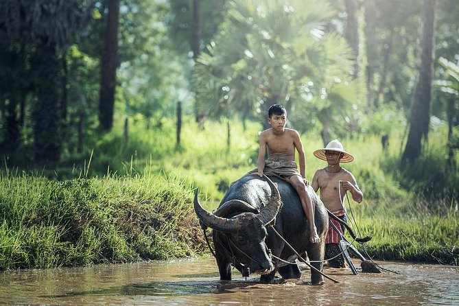 Village Life Tour from Siem Reap - Key highlights you should care about