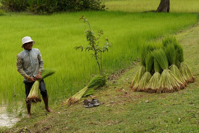 Village Life Tour from Siem Reap - Pickup, minivan ride, and the scenery on the way out